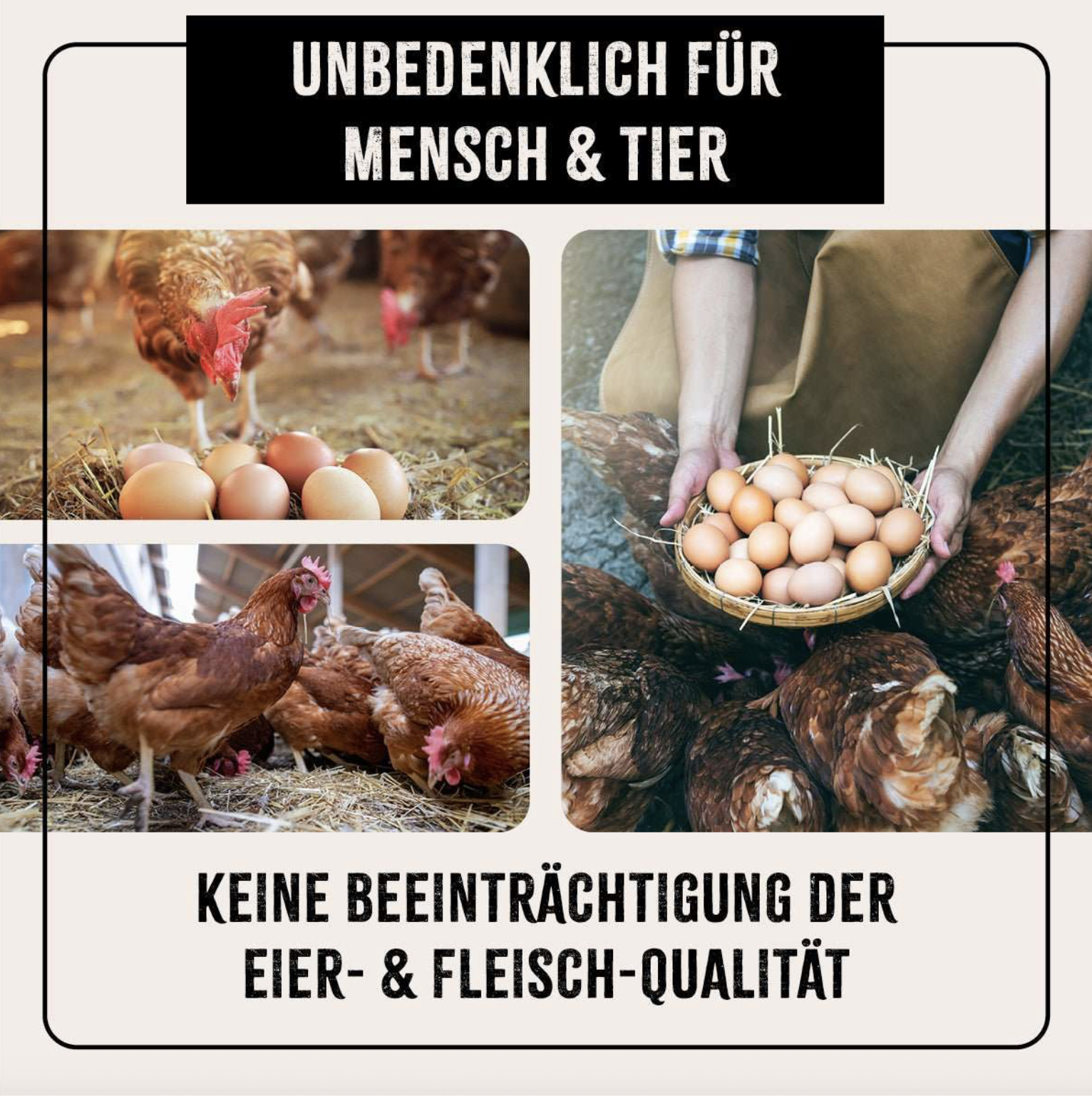 Screenshot 2026-02-05 at 13.48.39